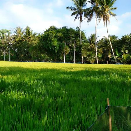 Uma Loka Villa Ubud Exterior foto