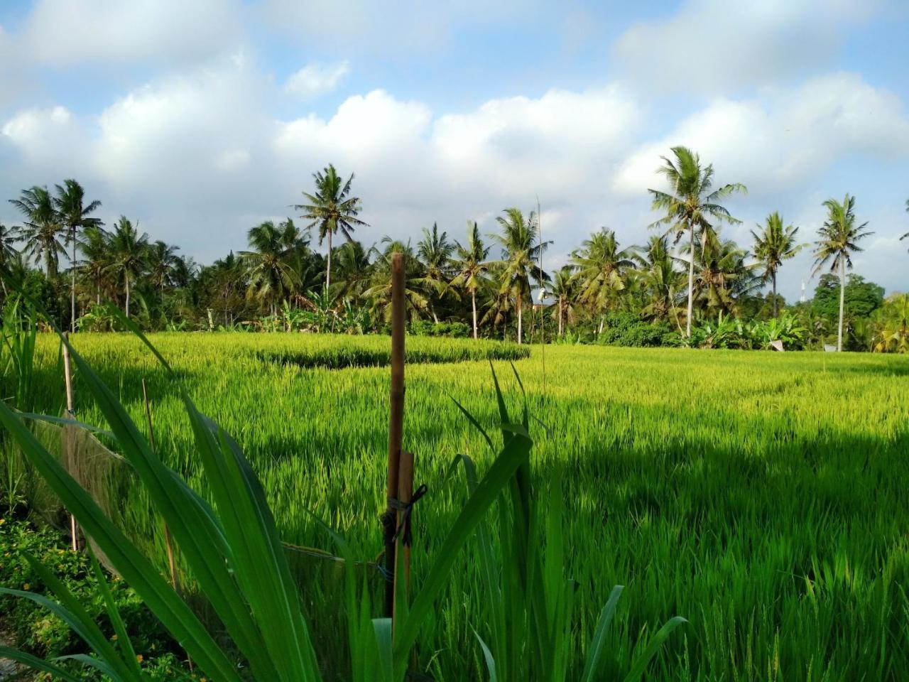 Uma Loka Villa Ubud Exterior foto