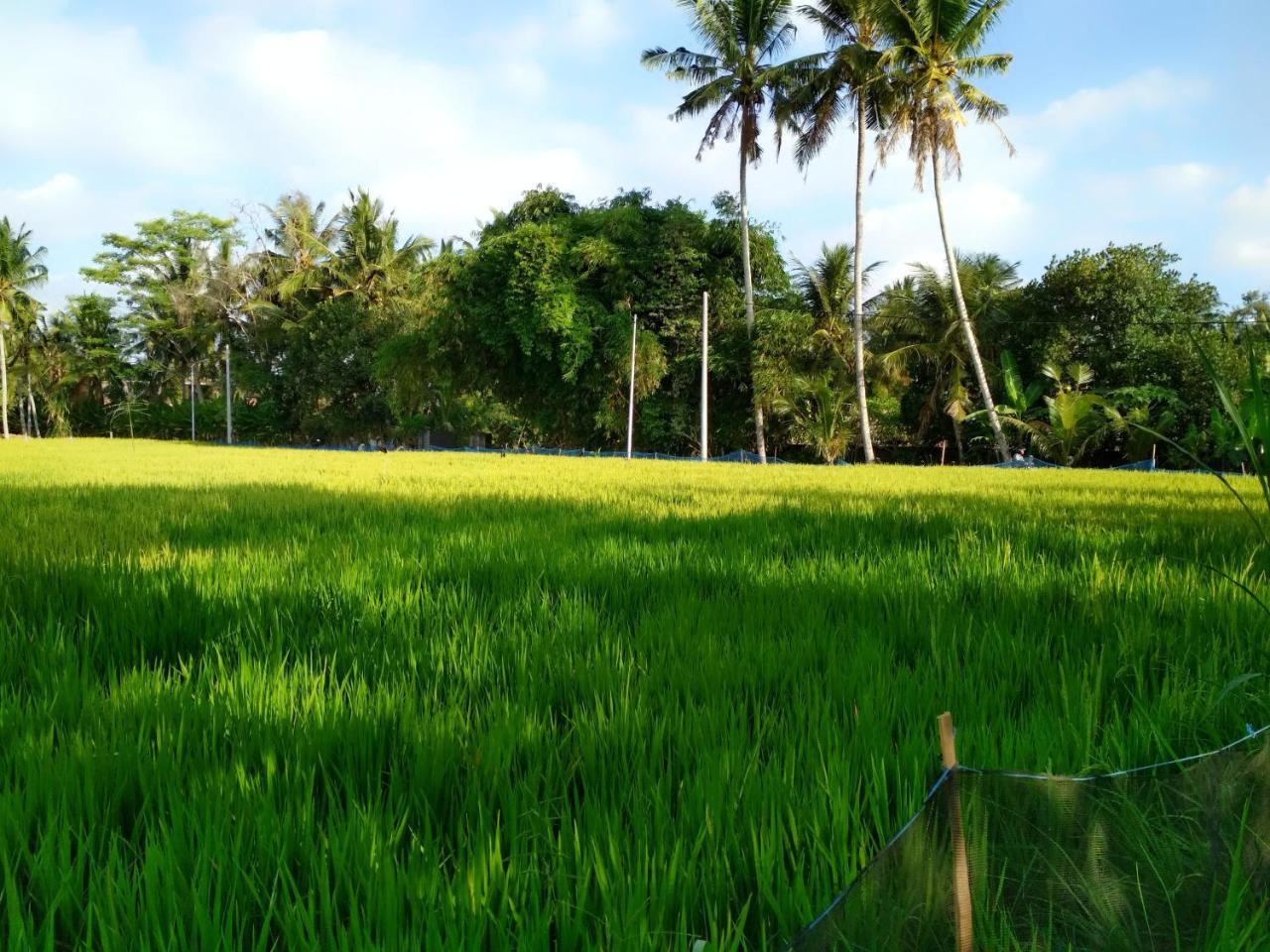 Uma Loka Villa Ubud Exterior foto